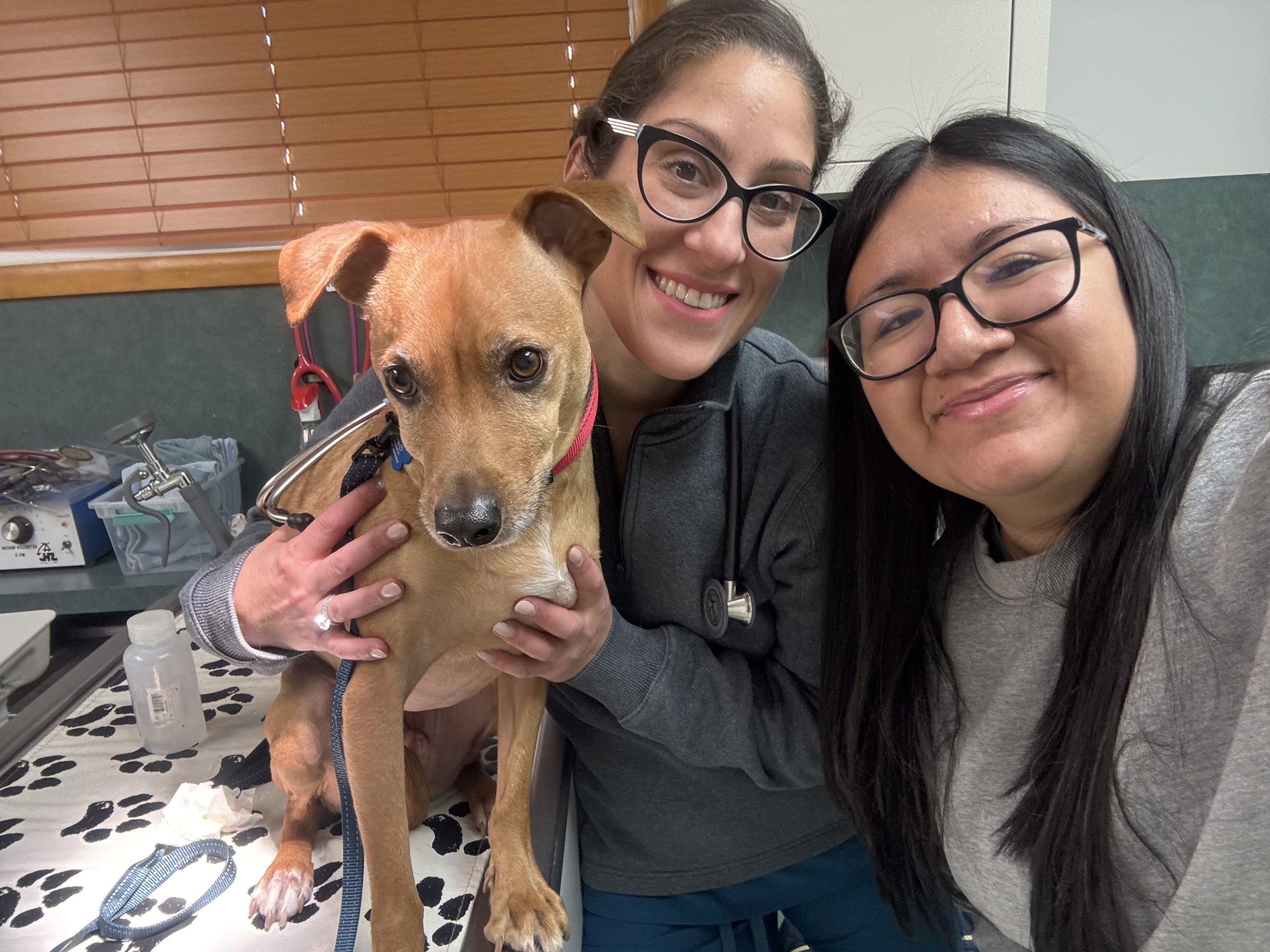 new clients welcome  Matawan, NJ 